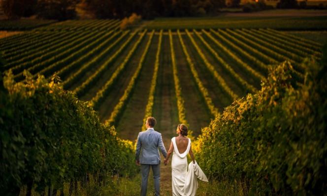Capturer l’Amour au Cœur des Vignobles : Le Mariage Vigne